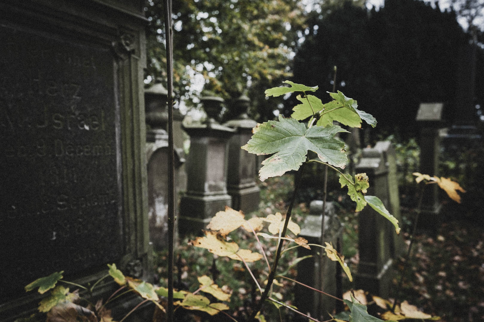 Jever, Jüdischer Friedhof